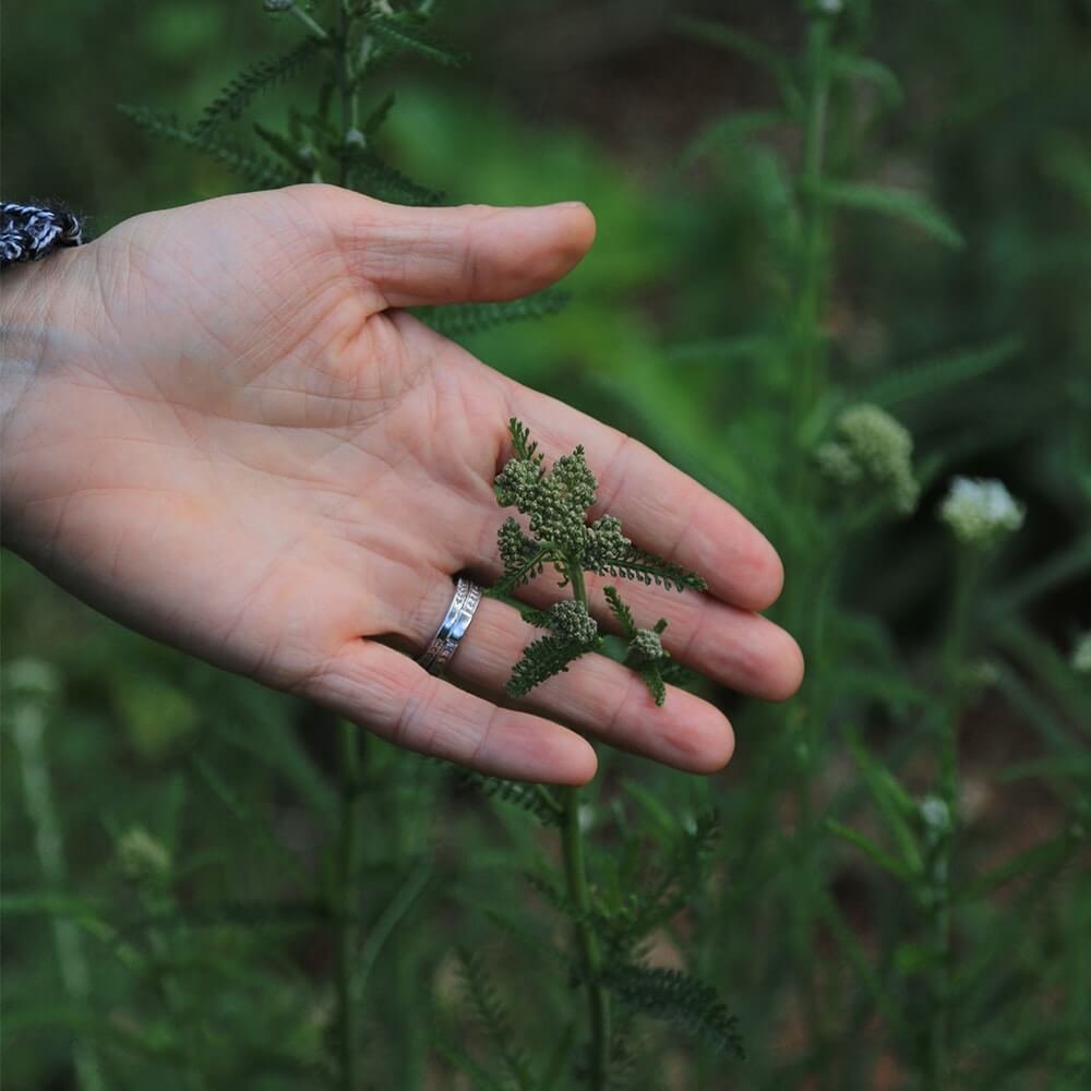 Foundations-of-Aromatherapy-Certificate-Program-Online