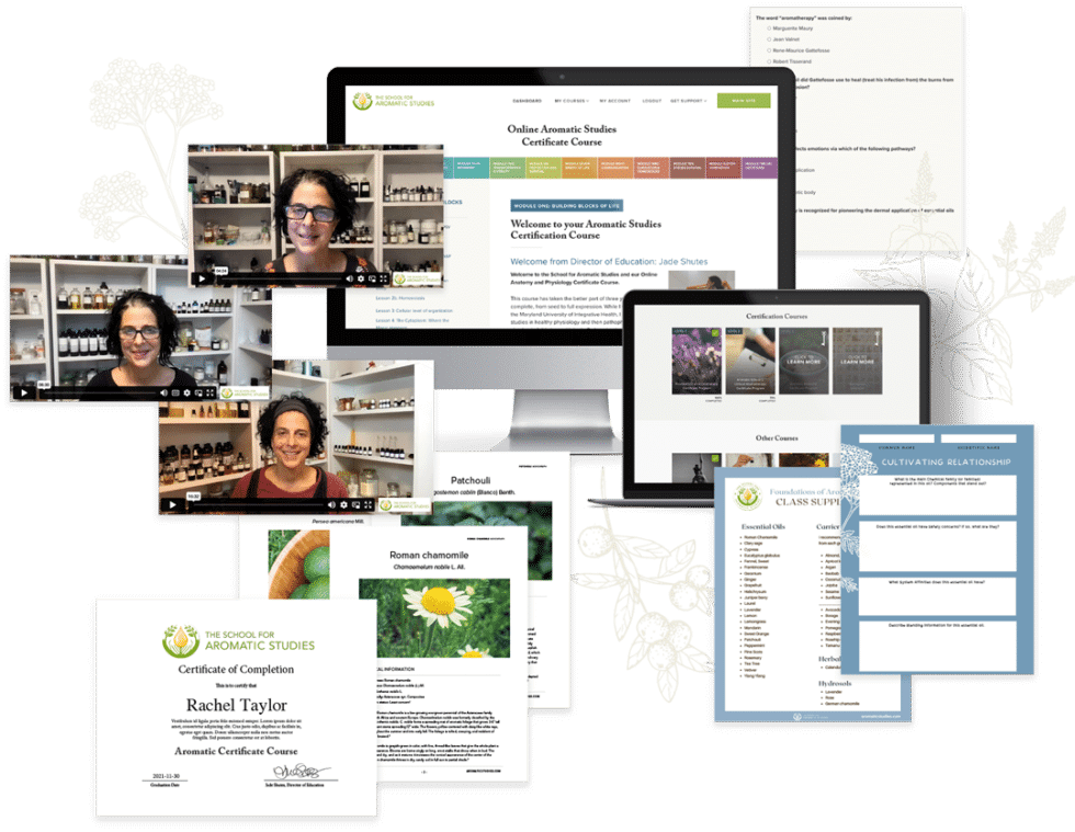 certificate-inclusions-mockup-lr-980x759