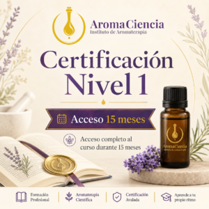 Certificación Nivel 1 · Acceso 15 meses