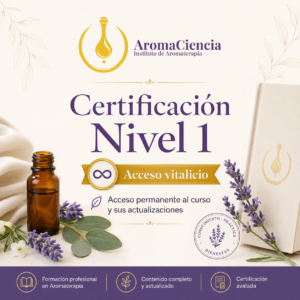 Certificación Nivel 1 · Acceso vitalicio